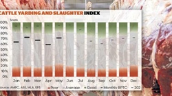 Welcome rebound: May a turning point as beef processor trading conditions lift