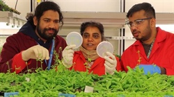 Australian breakthrough could lead to more climate change resilient crops