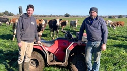 'Never looked back': Coragulac dairy farm opts for Fleckvieh over Friesian