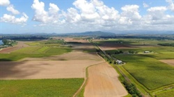 Major sugarcane aggregation with urban growth advantage hits the market