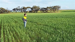 Price slashed on large-scale organic farm in the Murray Mallee