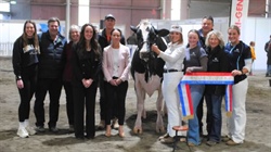 'Finally the bride': Wishart family wins senior supreme sash at Bendigo