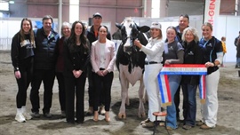 'Finally the bride': Wishart family wins senior supreme sash at Bendigo