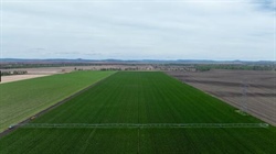 Expressions of interest sought on exceptional irrigated farmland | Video