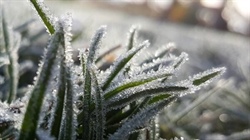 Winter arrives on a conveyor belt, bringing the promise of more rain