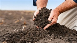 Black soil dryland farming country to $9090/acre at red hot farm auction
