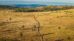 Exceptionally well-developed Central Queensland cattle country | Video