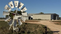Strategic, stock-ready 60,351 acre Waiko grazing property heads to auction