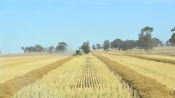 Talk of Australia/China canola deal brokered that could resume shipments