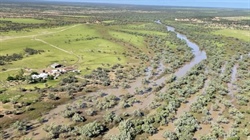 Significant 4000 head breeding, backgrounding, fattening operation sold