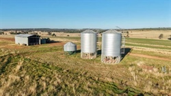 Well-fenced, watered Kerringle delivers quality lambs and cattle | Video