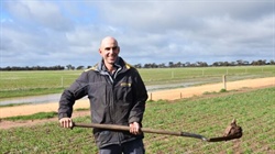 Forecasters flag further grain upside, southern growers hail 'game-changer'
