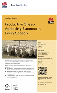 Productive Sheep Achieving Success in Every Season