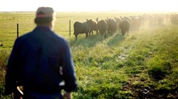 'Winds of change' in farmland market with prices now tipped to rebound