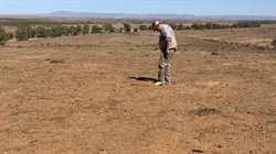 Aid efforts ramped up as crippling drought persists despite recent rains