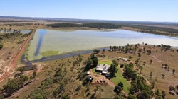Belyando Junction a major irrigated farming, cattle operation on the market