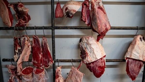 Vaccinated to be allergic to meat: when those who preach morals, are immoral