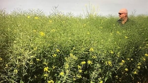 No price listed, but agent tips affordable sale for lower EP cropping farm