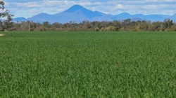 Surge in farm listings sparks renewed interest in rural property market