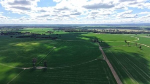 Well-developed irrigation, dryland operation heads to auction | Photos