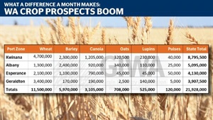 13pc yield gain in a month as WA data highlights massive crop improvement
