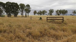 Backgrounding, fattening country hits $2547/acre at strong auction | Photos