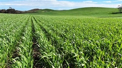 Spring harvest | Two more big farm portfolios join a growing list of sales