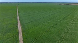 Outstanding dryland cultivation, irrigation, prime grazing country | Video