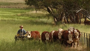 Farmers invest in new assets but production costs gnaw at rural sentiment