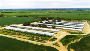 Receivers put one of Australia's biggest free-range chicken farms on the market