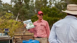 'Taking the money and running': producers jumping at new season lamb chance