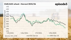 Free falling global grain prices at precisely the wrong time for Aussies