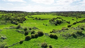 From hilly Upper Murray to the west's volcanic plains, beef property sales