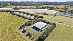 Outstanding horticulture, lifestyle opportunity in the Noosa Hinterland