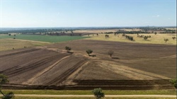 Swinton well-located for cattle, grain and fodder opportunities | Video