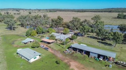 Low-maintenance grazing property developed for ease of management