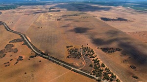 Big Murtho farm up for grabs in a 'definite' sale under receivers' orders