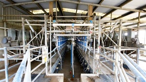 New starters take note, easy-to-run dairy farm sells after listing for $1.4m