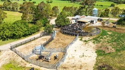 Choice of two dairy farms for sale in the east and west of Victoria