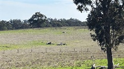 Unremarkable cattle block secures Gippsland farmer $4 million pay day