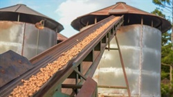 Breaking: southern Queensland family to purchase iconic peanut business