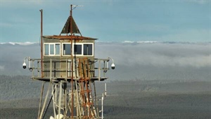 Why AI-powered cameras are watching Australian forests