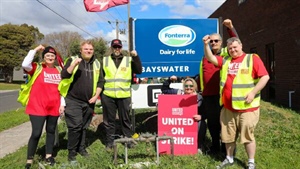 Fonterra Bayswater workers walk off the job over pay, conditions complaints
