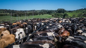 Unions join the stoush over Lactalis' proposed acquisition of Fonterra