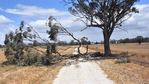 Sudden stratospheric warming event hits - what does it mean for weather?