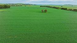 Blue-ribbon Rothesay combines scale, productivity and lifestyle | Video
