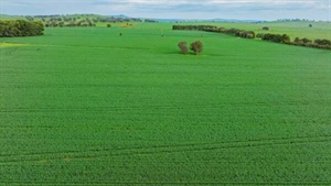 Blue-ribbon Rothesay combines scale, productivity and lifestyle | Video