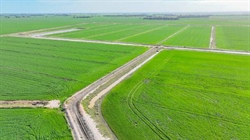 Border irrigation operation in receivership sold after auction | Video