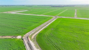 Border irrigation operation in receivership sold after auction | Video