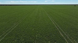 Western country with significant potential listed for $520/acre | Photos